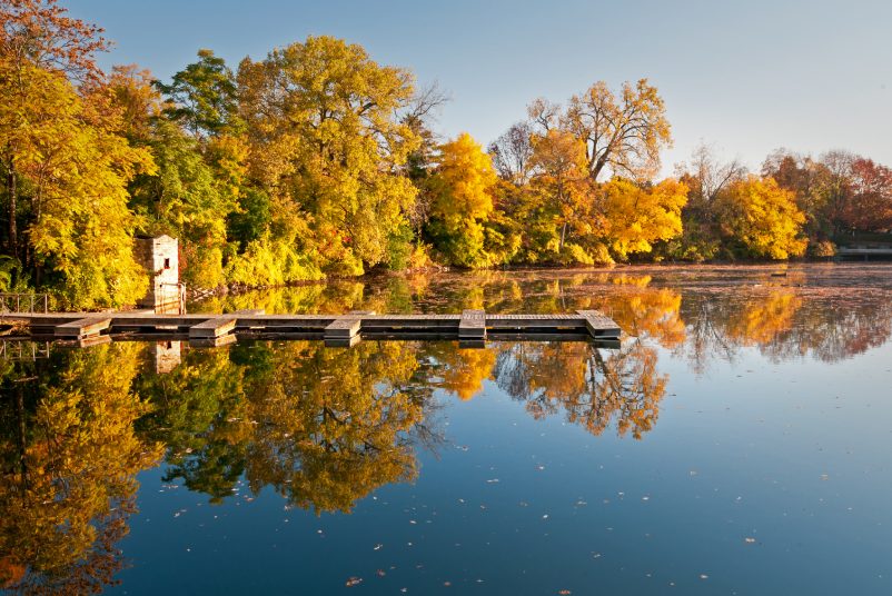 Quarry Lake Autumn Golden fall color is reflected in the calm surface of Quarry Lake in downtown Naperville, Illinois.