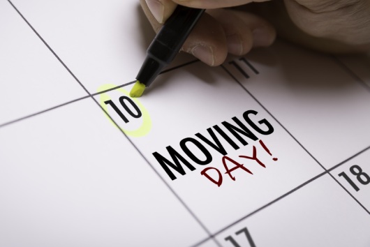 Moving Day