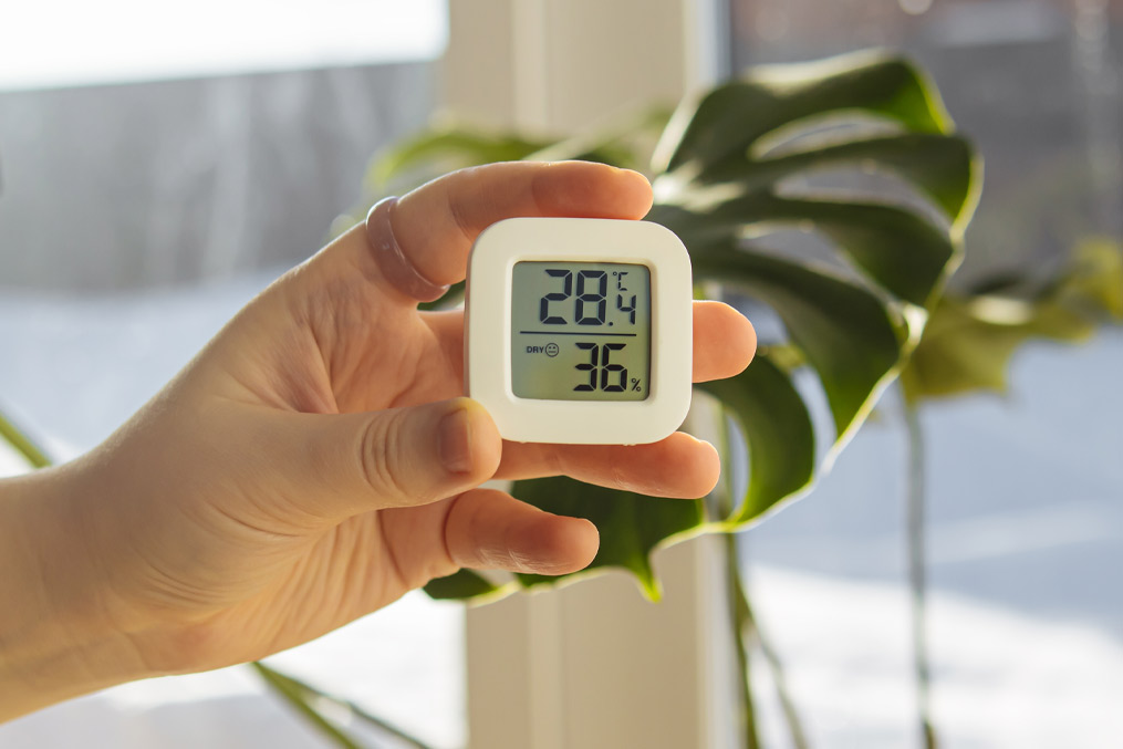 Woman holds small digital indoor temperature and humidity meter. Temperature sensor. Growing plants at home. Natural. Low humidity